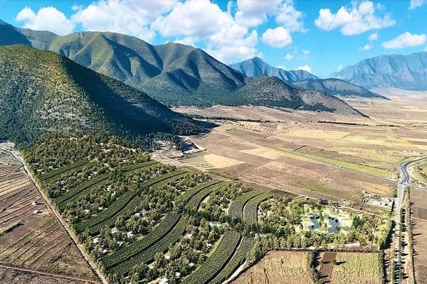  Huachichil - El Recreo