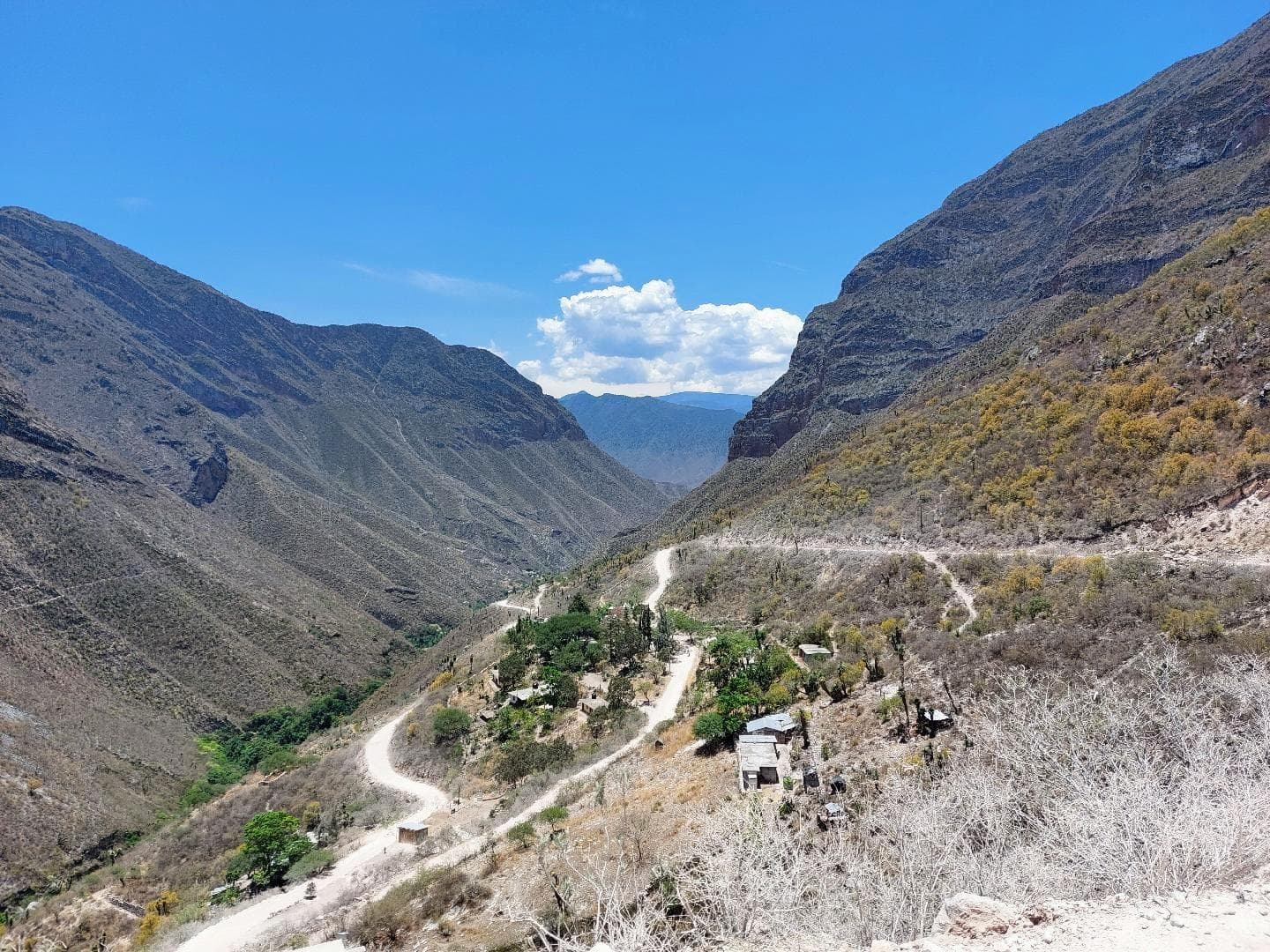Rodada a Atarjea