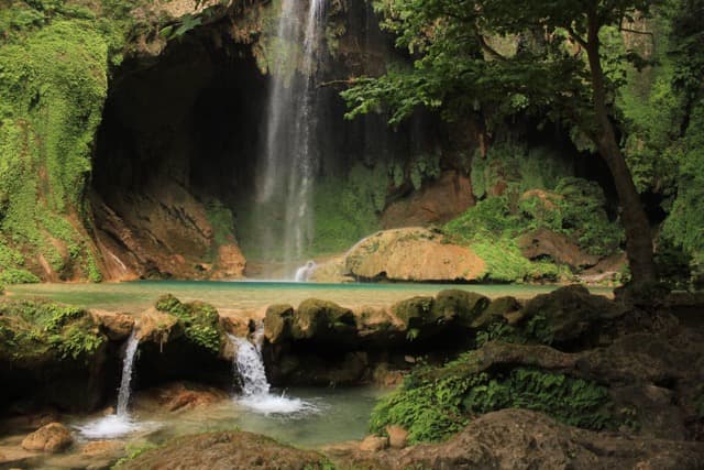Allende - Trinidad - Adjuntas